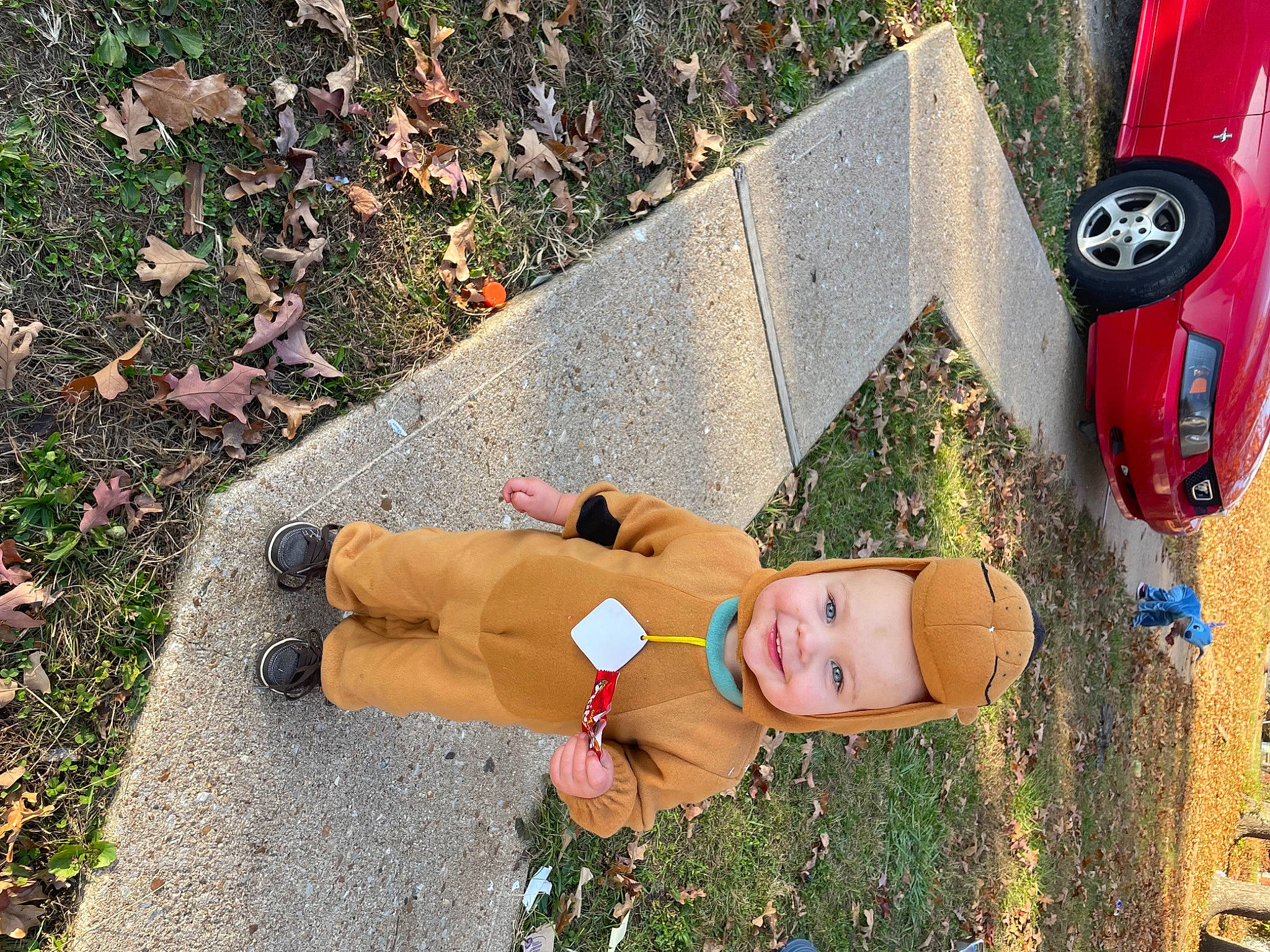 Josiah is registered to the contest to win money with this photo: asphalt, automotive_lighting, bumper, car, grass, headwear, human_leg, joy, leisure, motor_vehicle, people, person, plant, road_surface, sidewalk, summer, thigh, toy, tree, trunk