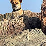 Pilou participe au concours pour gagner de l'argent avec cette photo : dog, rock, outdoor, collar, animal, canine, nature, sky, sunlight, pet, mammal, landscape, wildlife, alert, watchful, brown_dog, fur, daylight, scenic, majestic