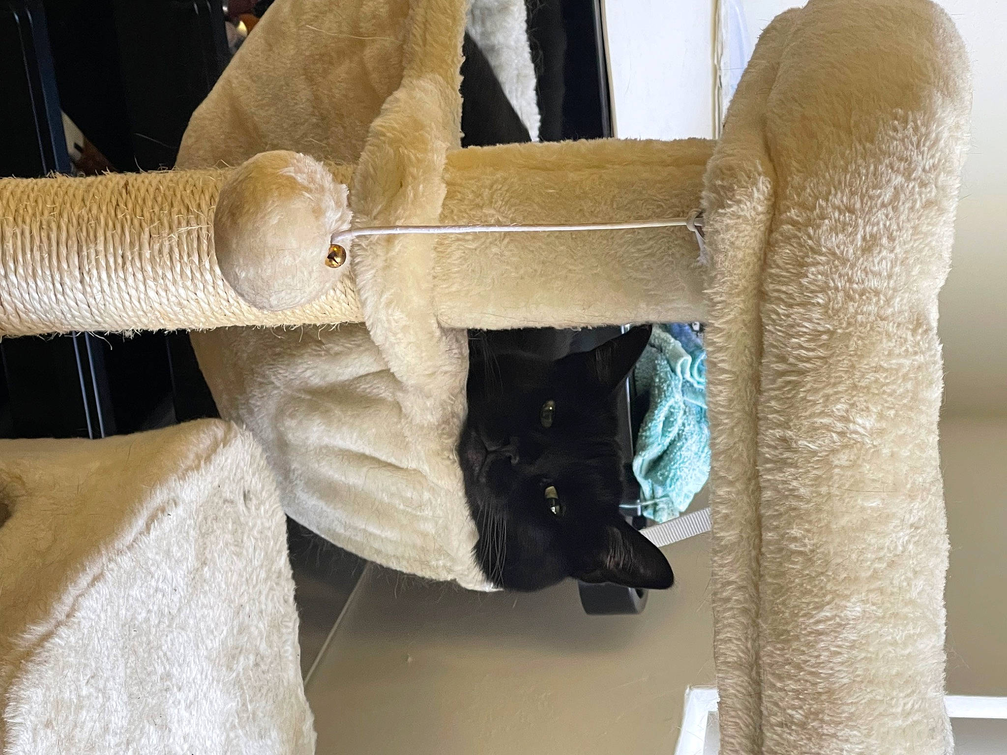 Freesia joined the competition — help win amazing prizes! art, chair, concrete, fashion_accessory, linens, natural_material, paper, paper_product, room, sculpture, stairs, wood