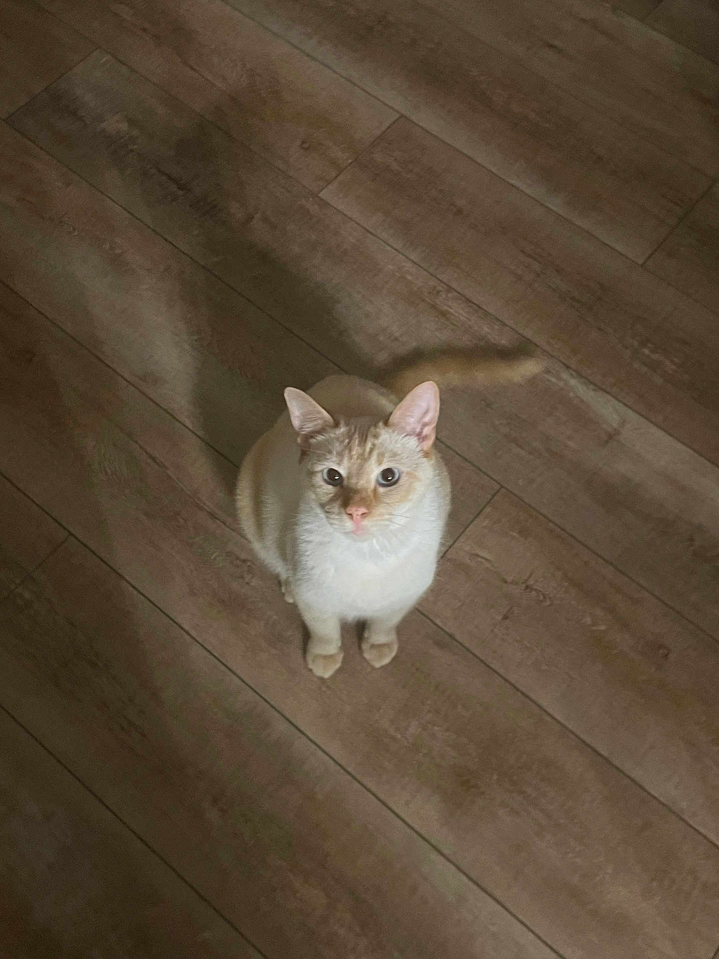 Casper
