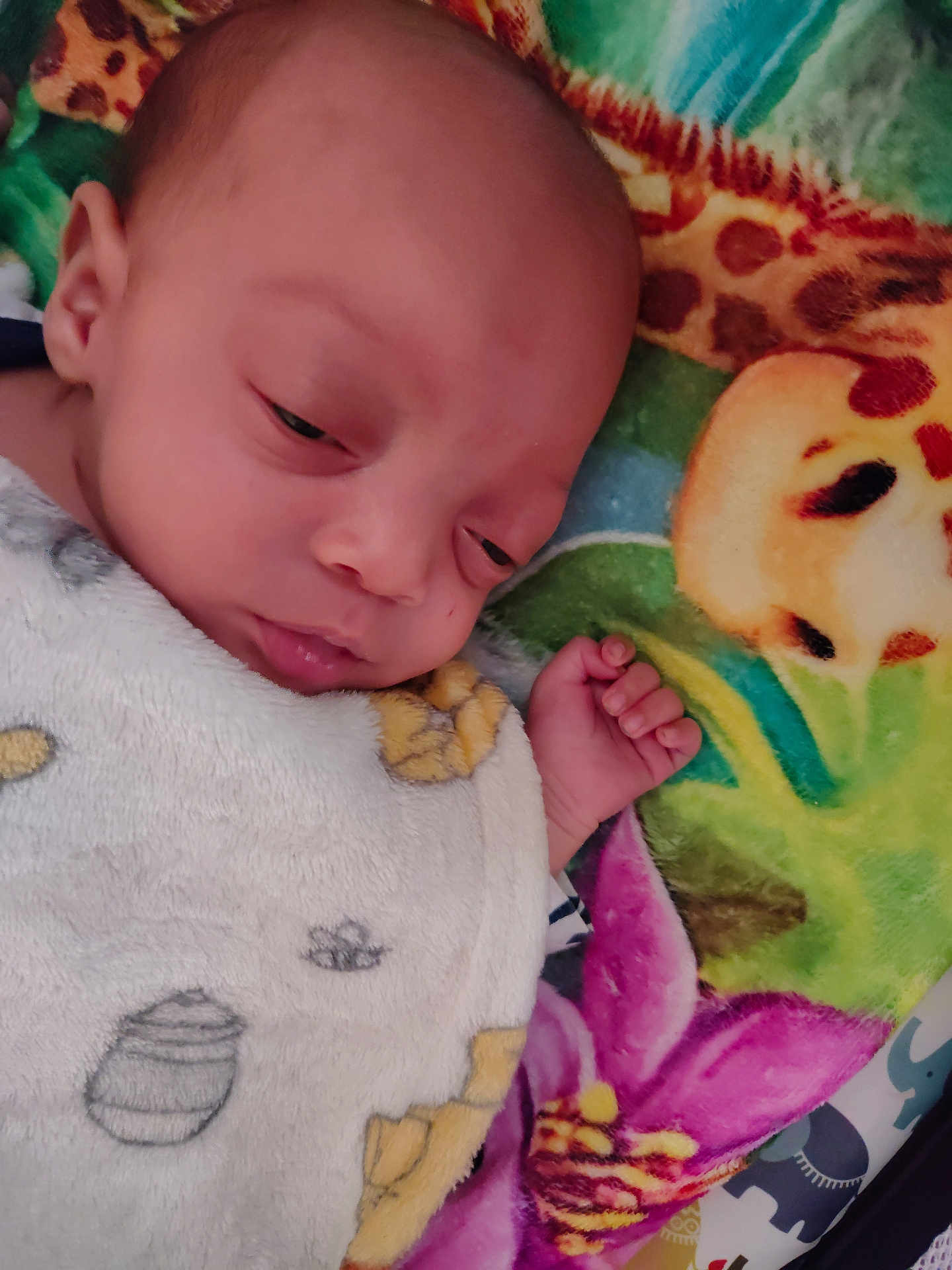 Jeremiah joined the competition — help win amazing prizes! baby, blanket, sleeping, soft_texture, colorful, patterned_blanket, animal_print, floral_pattern, infant, hand, face, resting, closeup, indoors, cute, peaceful, toddler, child, cozy, portrait