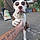 Leroy