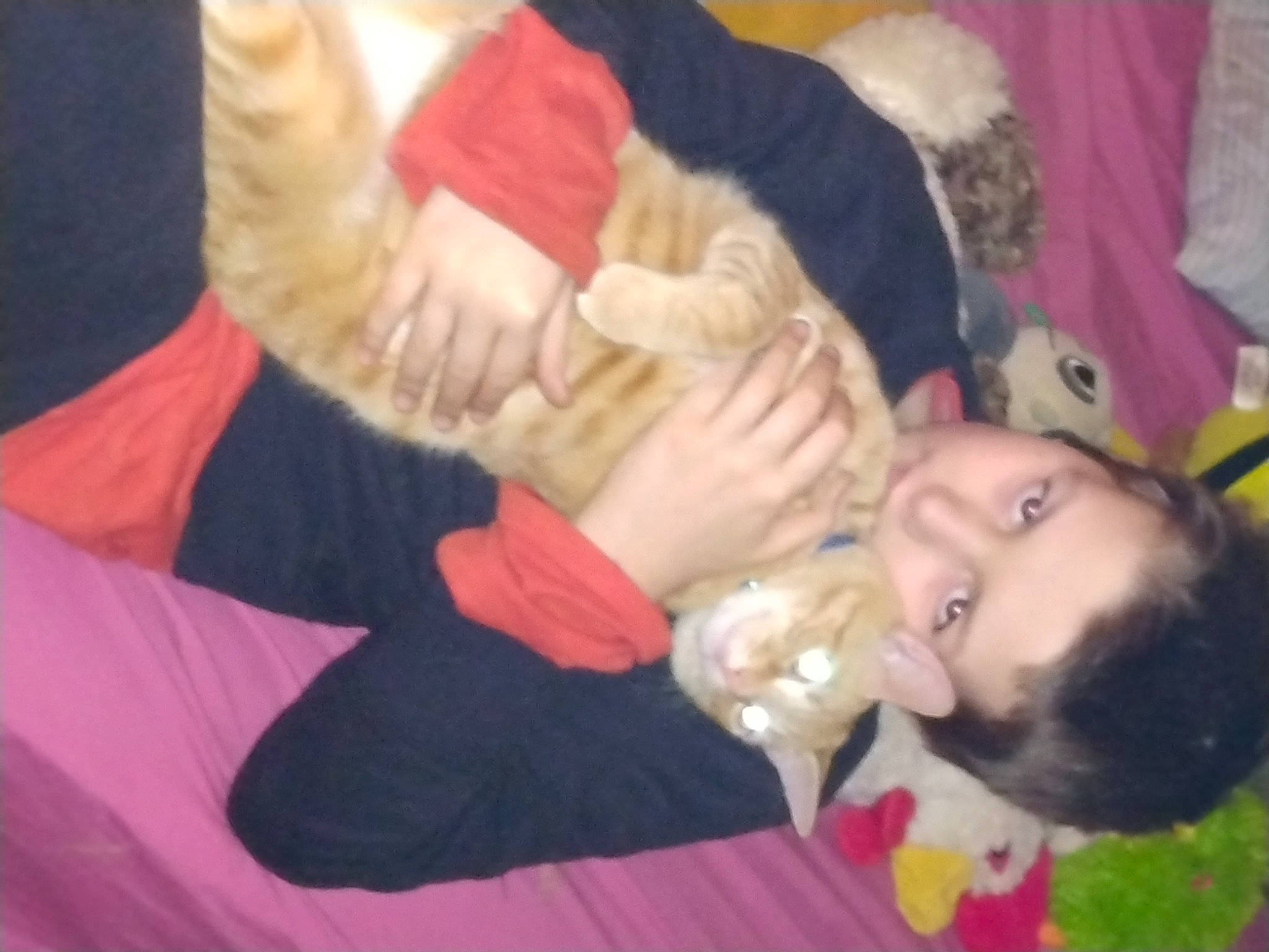 Brandon is registered to the contest to win money with this photo: baby, cheek, child, comfort, event, felidae, finger, fun, fur, gesture, happy, holiday, human_body, lap, nail, person, play, room, thumb, toddler