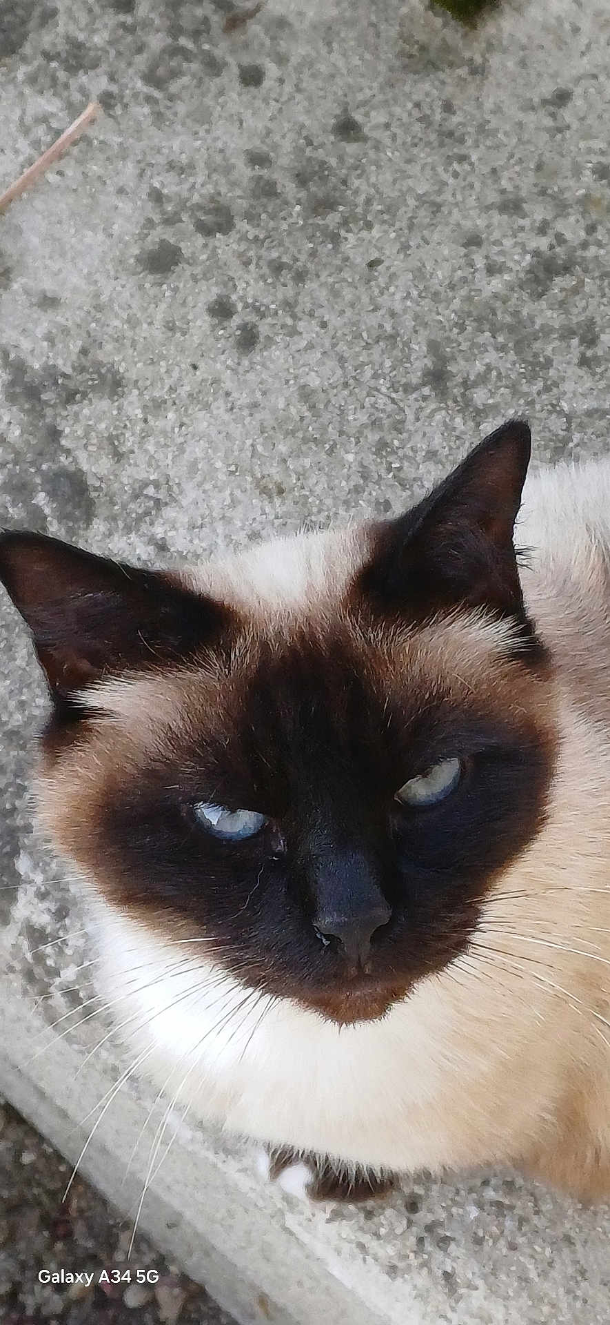 Caramel