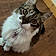Nimzy