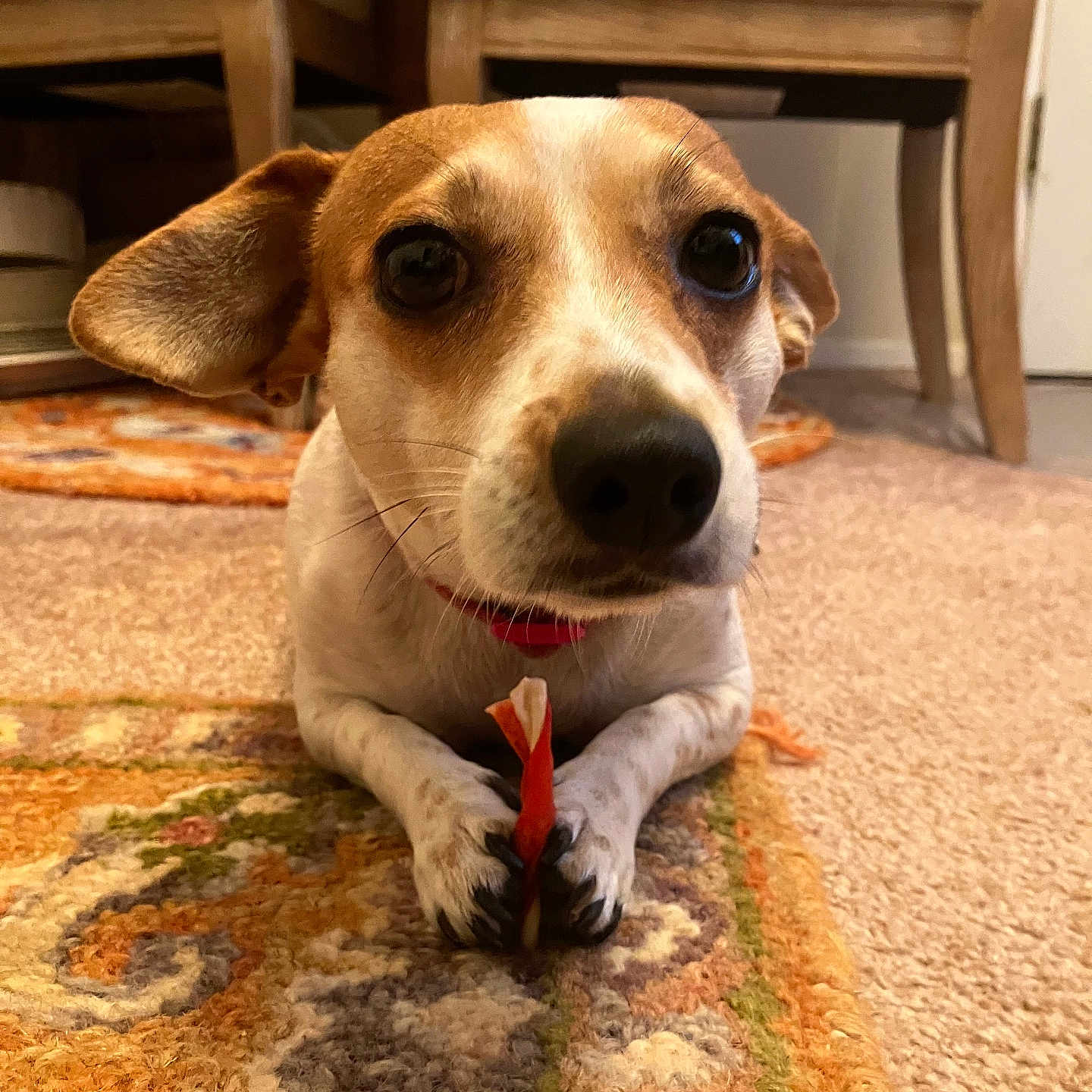 Maggie