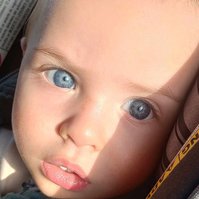 Maxieum is registered to the contest to win money with this photo: baby, blue_eyes, car_seat, child, close_up, clothing, expression, eyebrows, face, infant, light, mouth, nose, portrait, seatbelt, skin, sunlight, warning_label, young_child, zipper