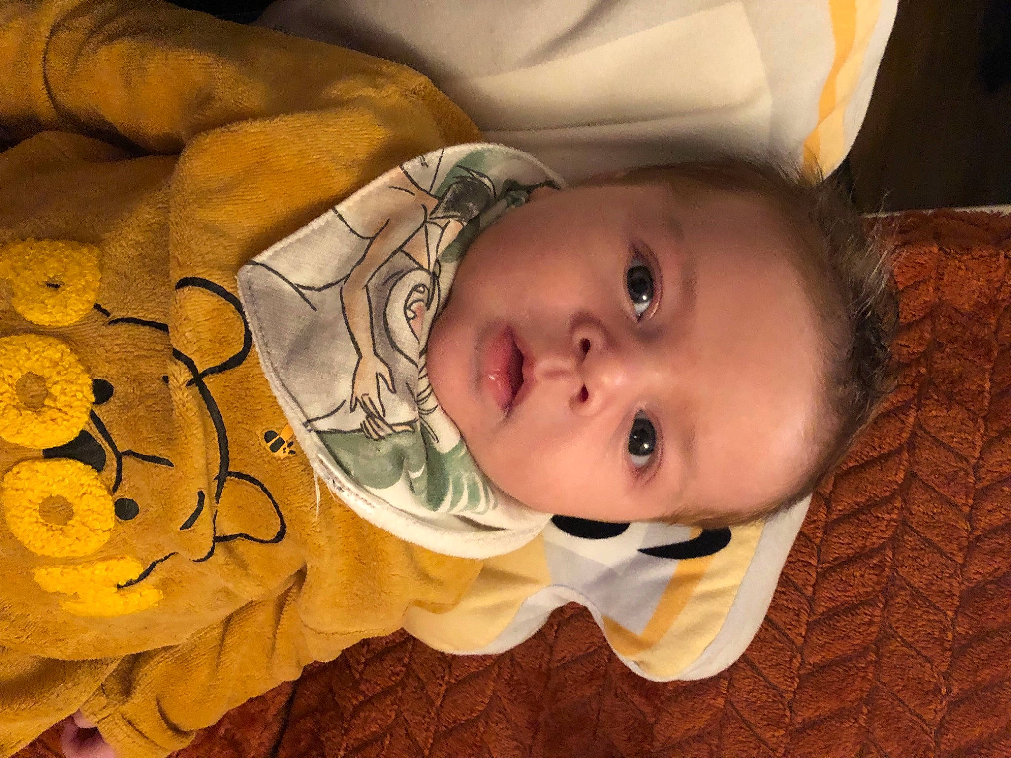 Maé a rejoint le concours — aidez-le/la à gagner de superbes lots ! baby, baby_toddler_clothing, cheek, child, eye, eyelash, face, facial_expression, flower, happy, head, iris, linens, nose, person, petal, rose, skin, smile, toddler