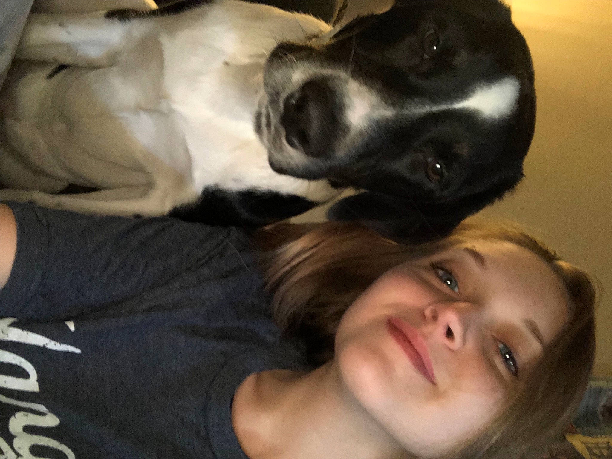 Sully joined the competition — help win amazing prizes! black_hair, canidae, carnivore, companion_dog, dog, dog_breed, eye, face, head, mouth, muscle, non_sporting_group, nose, photography, selfie, snout, sporting_group