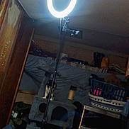 Dogg is registered to the contest to win money with this photo: animal, appliance, cat, cat_tree, clutter, corner, dark, electronics, fabric, furniture, household_items, indoor, laundry_basket, light, microwave, pet, ring_light, room, shadow, wood