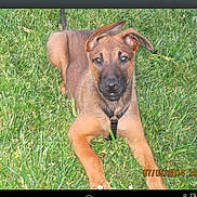 Nala a rejoint le concours — aidez-le/la à gagner de superbes lots !