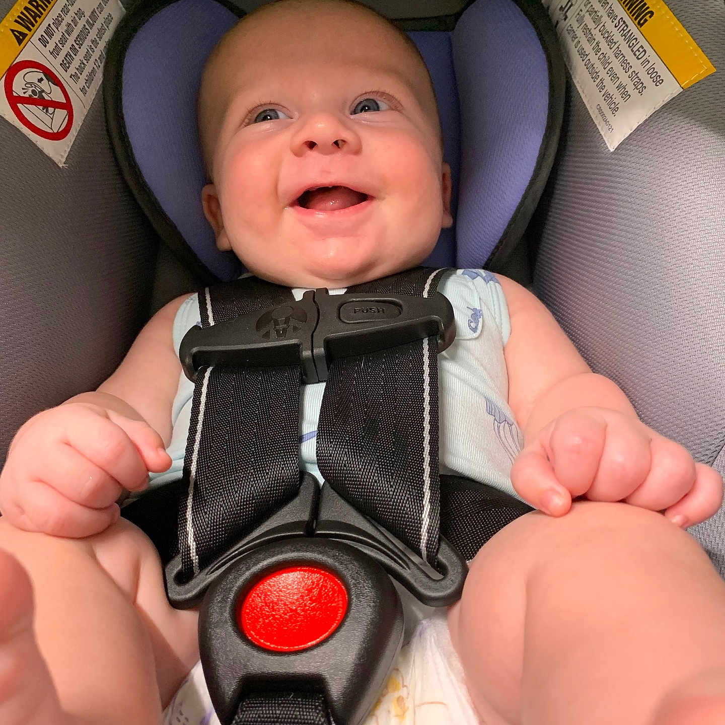 Augustine joined the competition — help win amazing prizes! baby, car_seat, cheerful, child, closeup, cute, expressive_face, happy, head_support, human, indoors, infant, infant_clothing, padding, person, safety_harness, seatbelt, smiling, warning_label, wearing_clothes