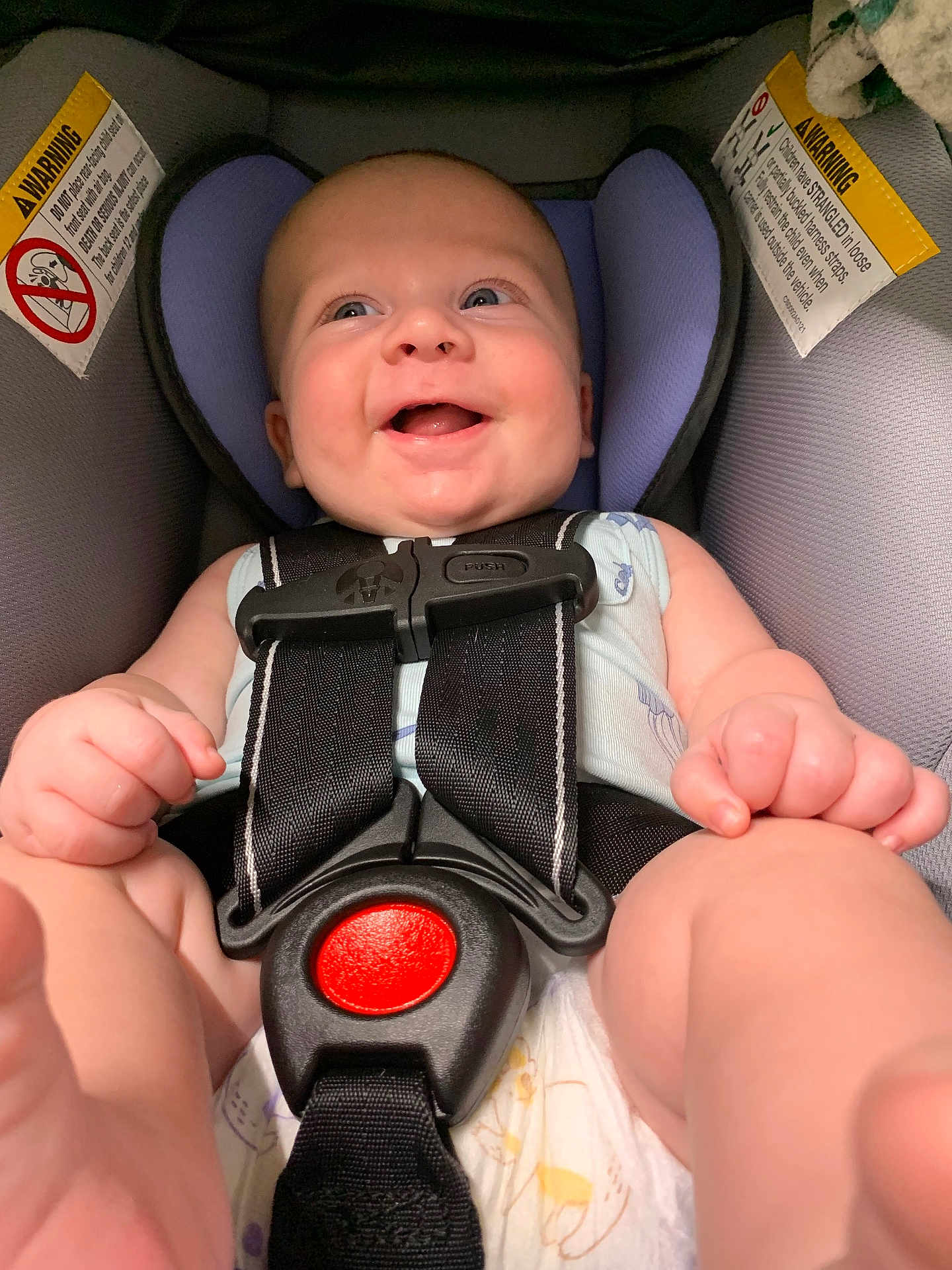 Augustine joined the competition — help win amazing prizes! baby, car_seat, smiling, infant, safety_harness, happy, child, seatbelt, cute, closeup, person, padding, warning_label, indoors, cheerful, wearing_clothes, infant_clothing, head_support, expressive_face, human