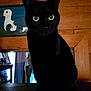 Scarlett joined the competition — help win amazing prizes! cat, black_cat, green_eyes, wood, painting, indoor, pet, animal, feline, dark, shadow, ears, whiskers, portrait, sitting, curious, looking, house, decoration, furniture