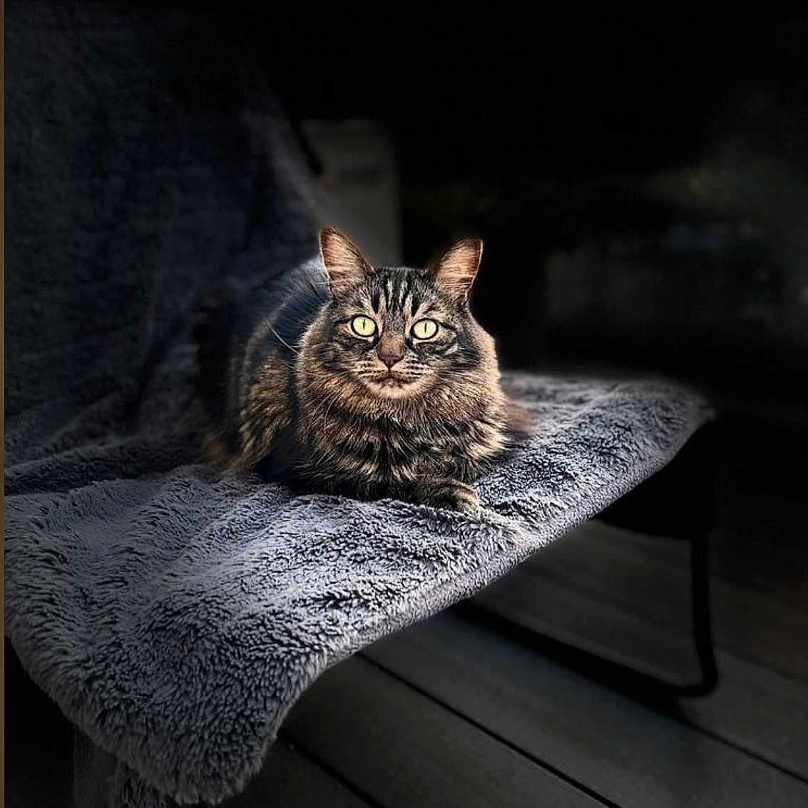 Milo