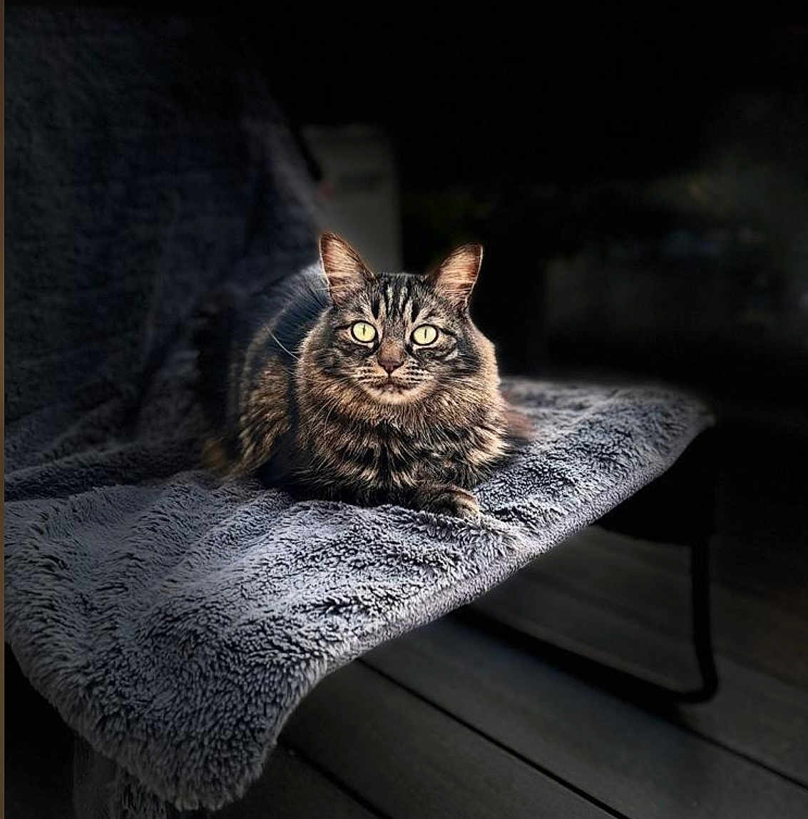 Milo