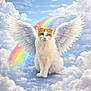 angel, cat, clouds, cloudscape, cute, fantasy, feline, heavenly, majestic, orange_fur, paws, pet, portrait, rainbow, sitting, sky, surreal, whiskers, white_fur, wings