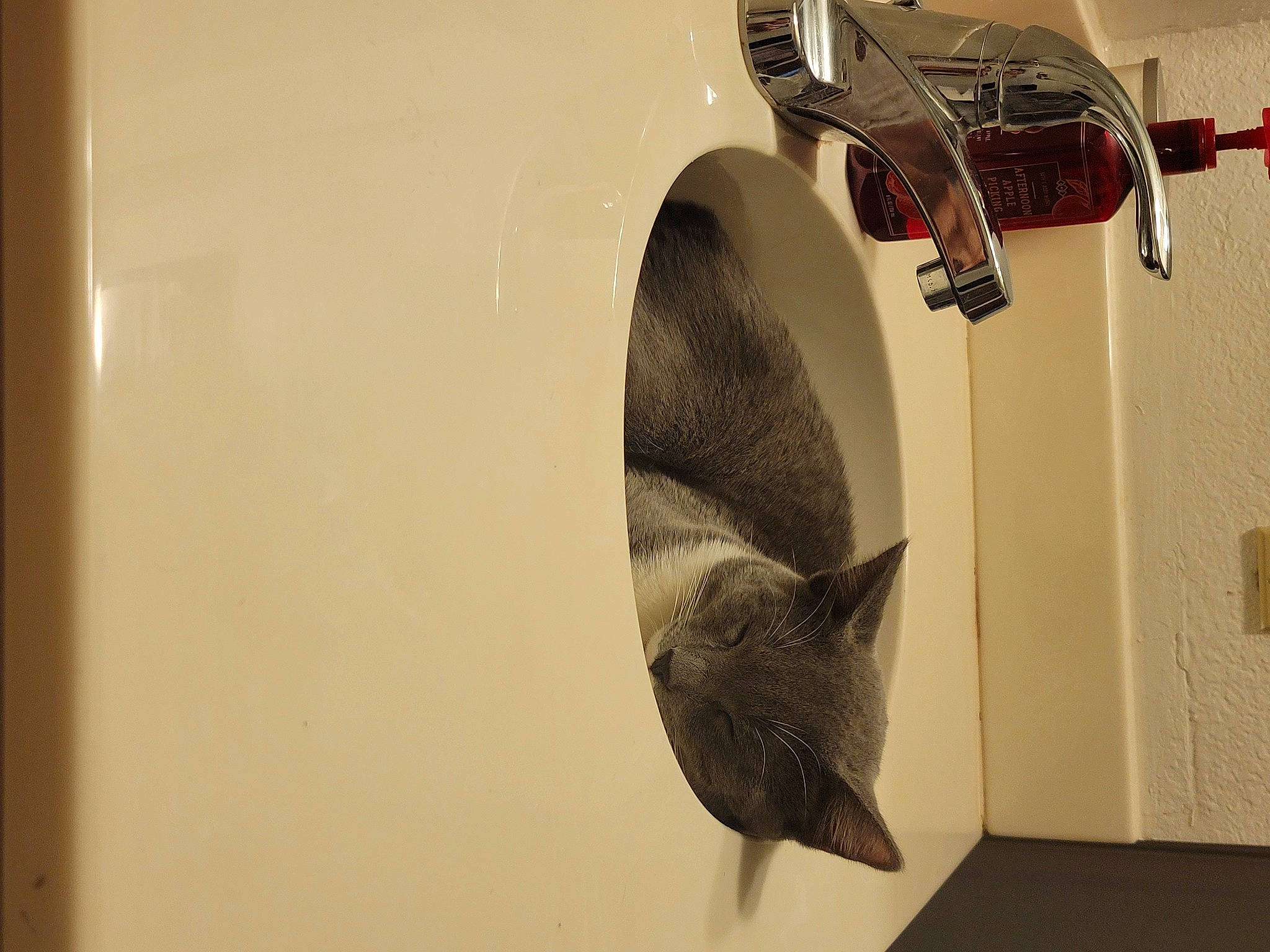 Jack is registered to the contest to win money with this photo: art, audio_equipment, automotive_lighting, carmine, ceiling, eyewear, fashion_accessory, feather, fish, headgear, helmet, hood, metal, personal_protective_equipment, room, shelf, shelving, space, tail, wood