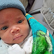 Ace joined the competition — help win amazing prizes! baby, beanie, blanket, bonnet, cap, clothing, coat, face, glove, hat, head, hood, jacket, knitwear, newborn, person, photography, portrait, sleeping, towel