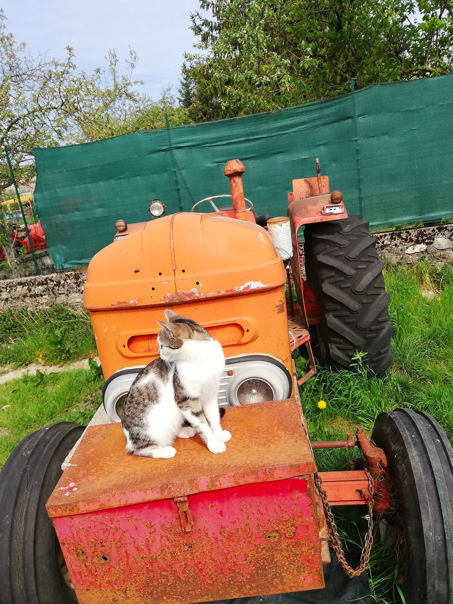 Nounous participe au concours pour gagner de l'argent avec cette photo : agricultural_machinery, automotive_tire, automotive_wheel_system, farm, fender, tire, tractor, vehicle, wheel