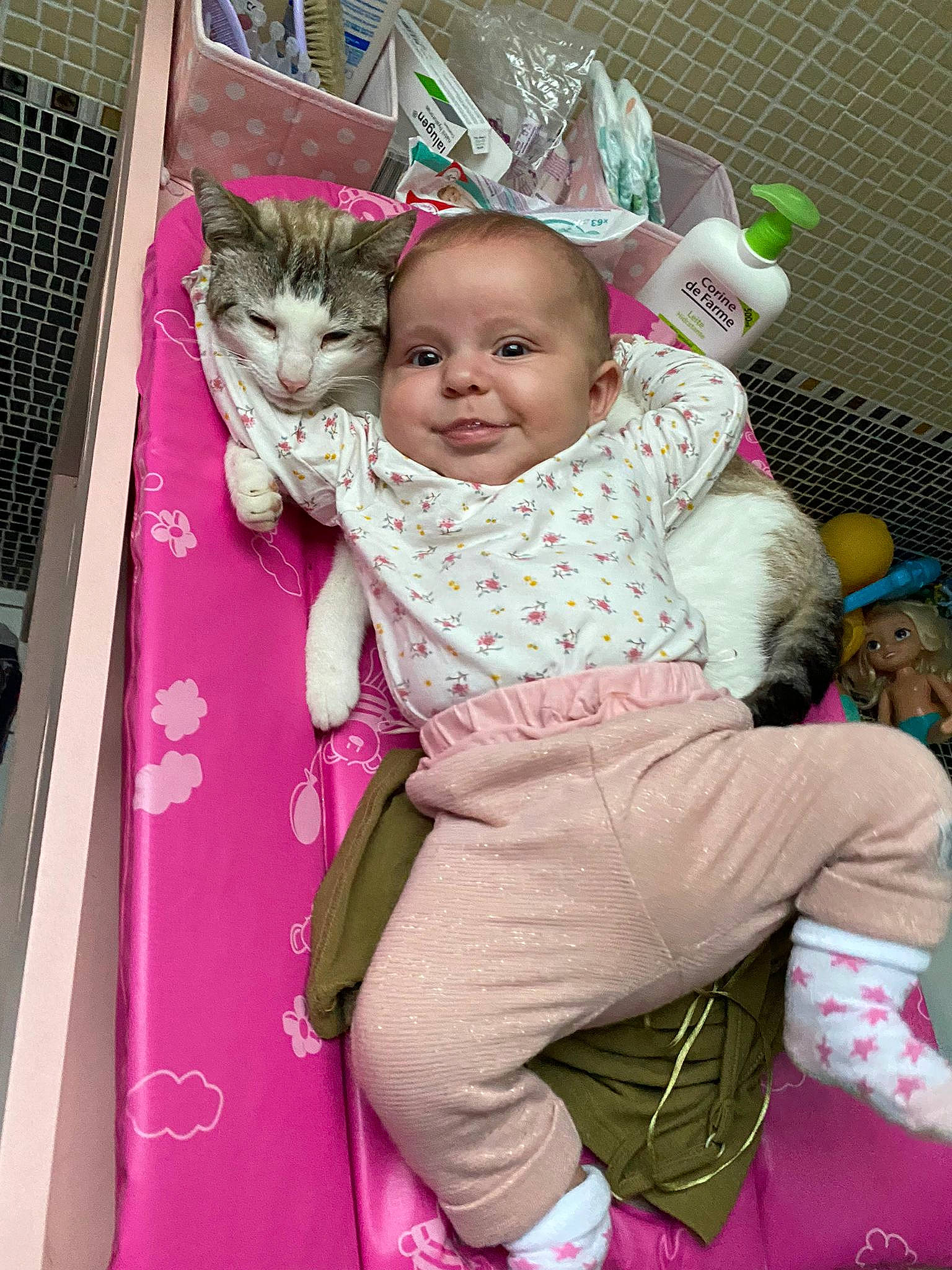 Ayanna participe au concours pour gagner de l'argent avec cette photo : baby, baby_toddler_clothing, carnivore, cat, cheek, child, felidae, happy, joy, magenta, mammal, pattern, person, pink, purple, sitting, sleeve, small_to_medium_sized_cats, smile, textile