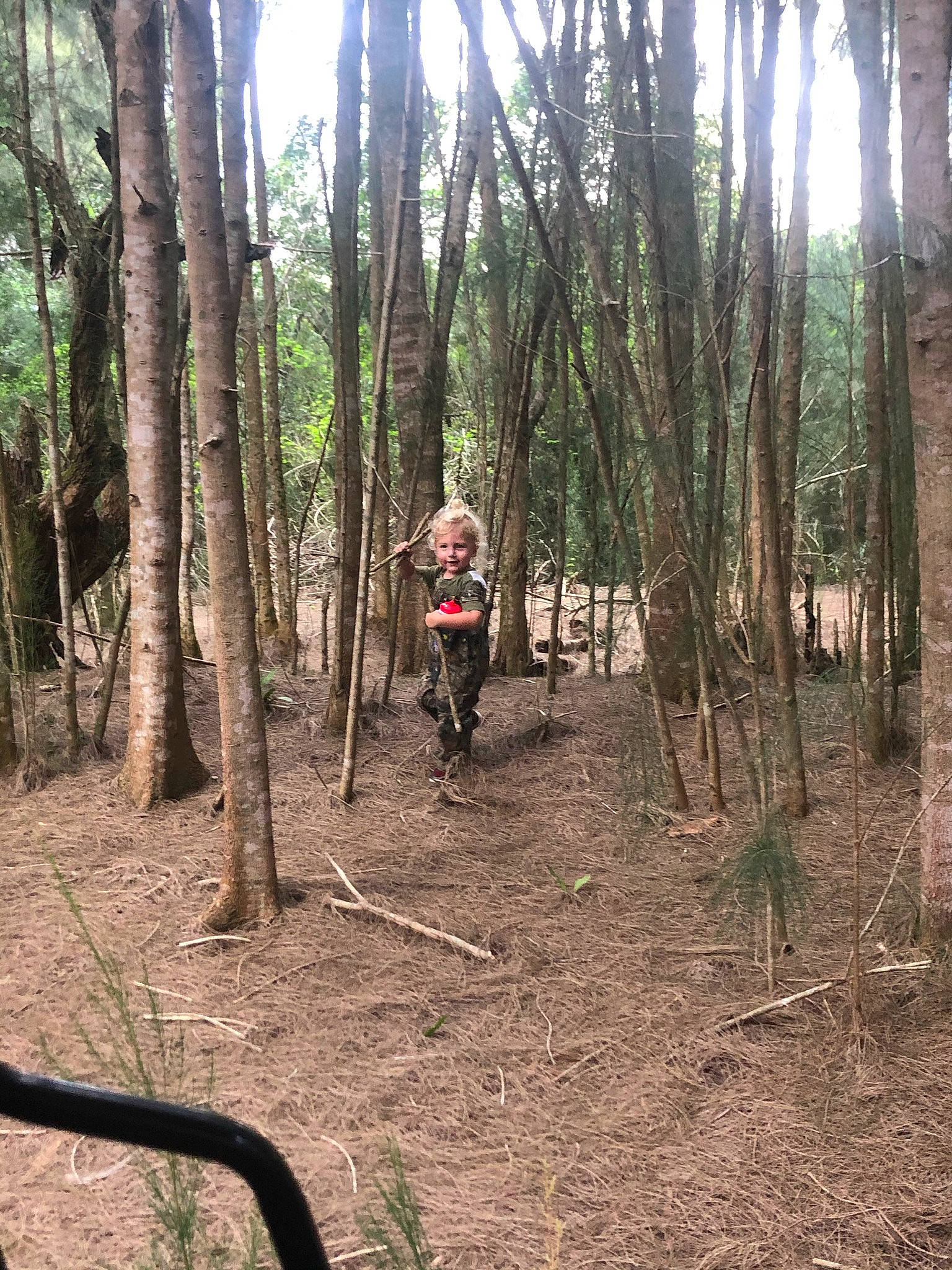 Jax joined the competition — help win amazing prizes! bicycle_tire, bicycle_wheel, biome, deciduous, forest, grass, grove, landscape, natural_environment, natural_landscape, people_in_nature, person, plant, plant_community, terrestrial_plant, tire, tree, trunk, vehicle, wood