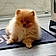 Bouba