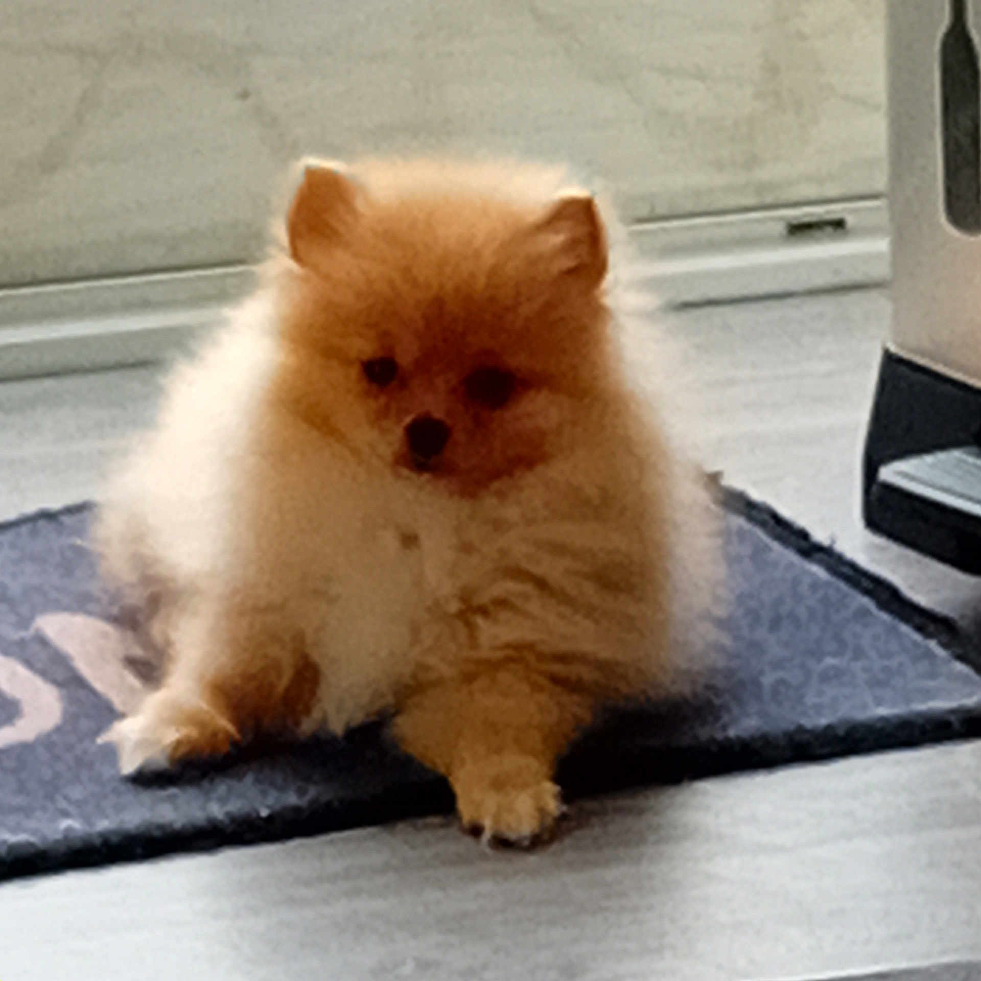 Bouba