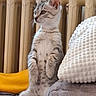 Bounty participe au concours pour gagner de l'argent avec cette photo : kitten, cat, sitting, indoor, couch, pillow, radiator, curious, feline, pet, fur, whiskers, ears, home, cozy, texture, furniture, domestic, small_animal, looking