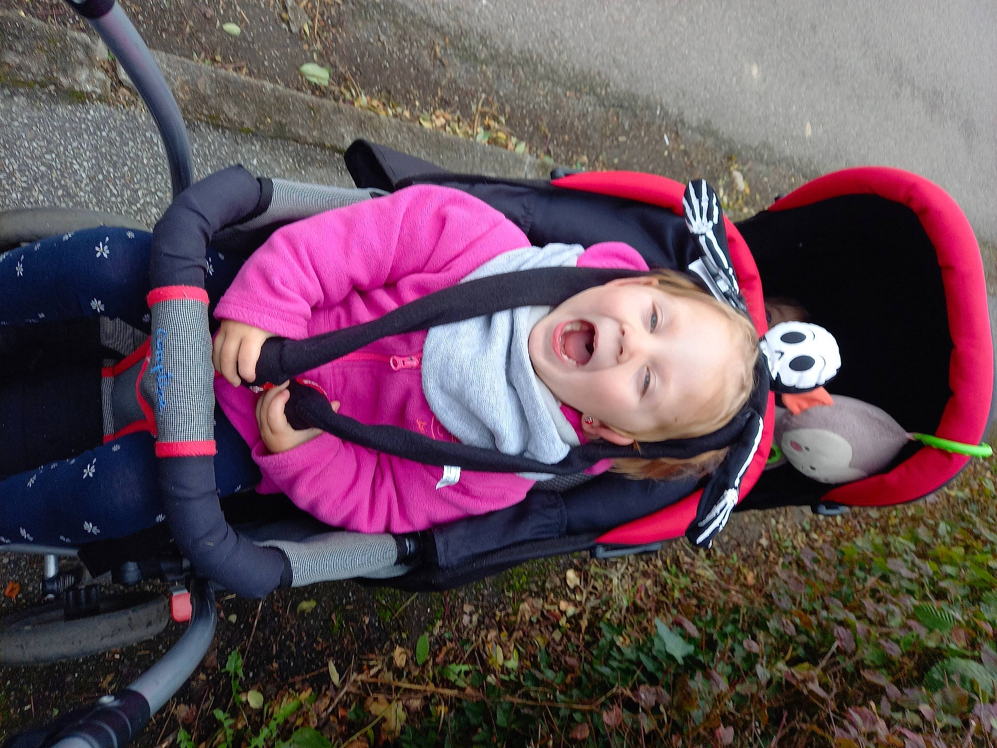 éloïse participe au concours pour gagner de l'argent avec cette photo : auto_part, baby, baby_carriage, baby_products, carmine, comfort, fun, grass, leaf, leisure, magenta, person, personal_protective_equipment, plant, product, recreation, smile, toddler, tree, vehicle