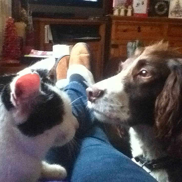 Riley is registered to the contest to win money with this photo: