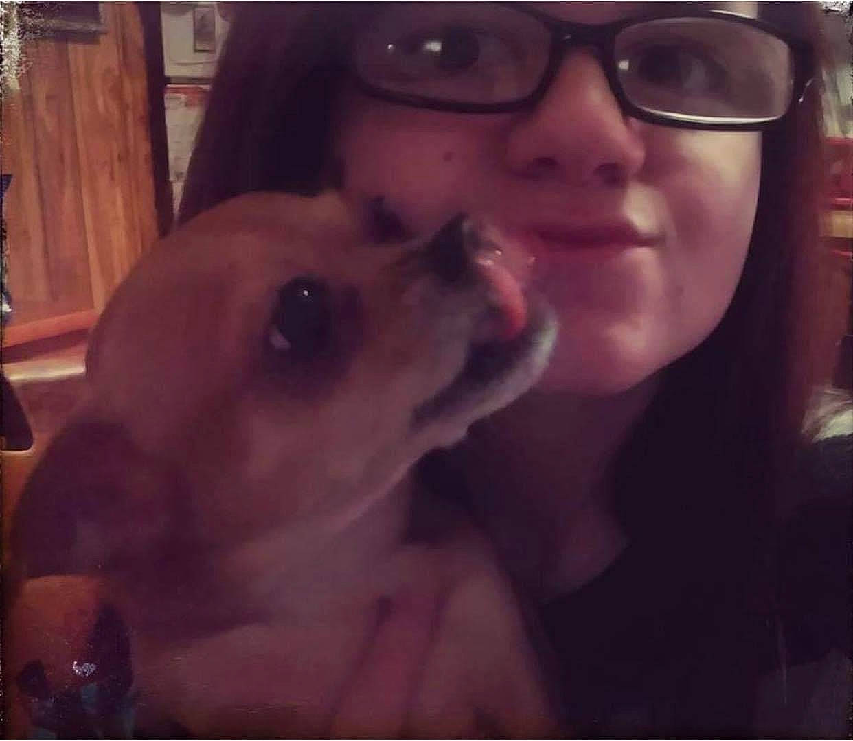 Lola is registered to the contest to win money with this photo: carnivore, companion_dog, dog, dog_breed, ear, eyelash, eyewear, fawn, fun, gesture, glasses, happy, jaw, nose, selfie, smile, snout, vision_care, whiskers, working_animal