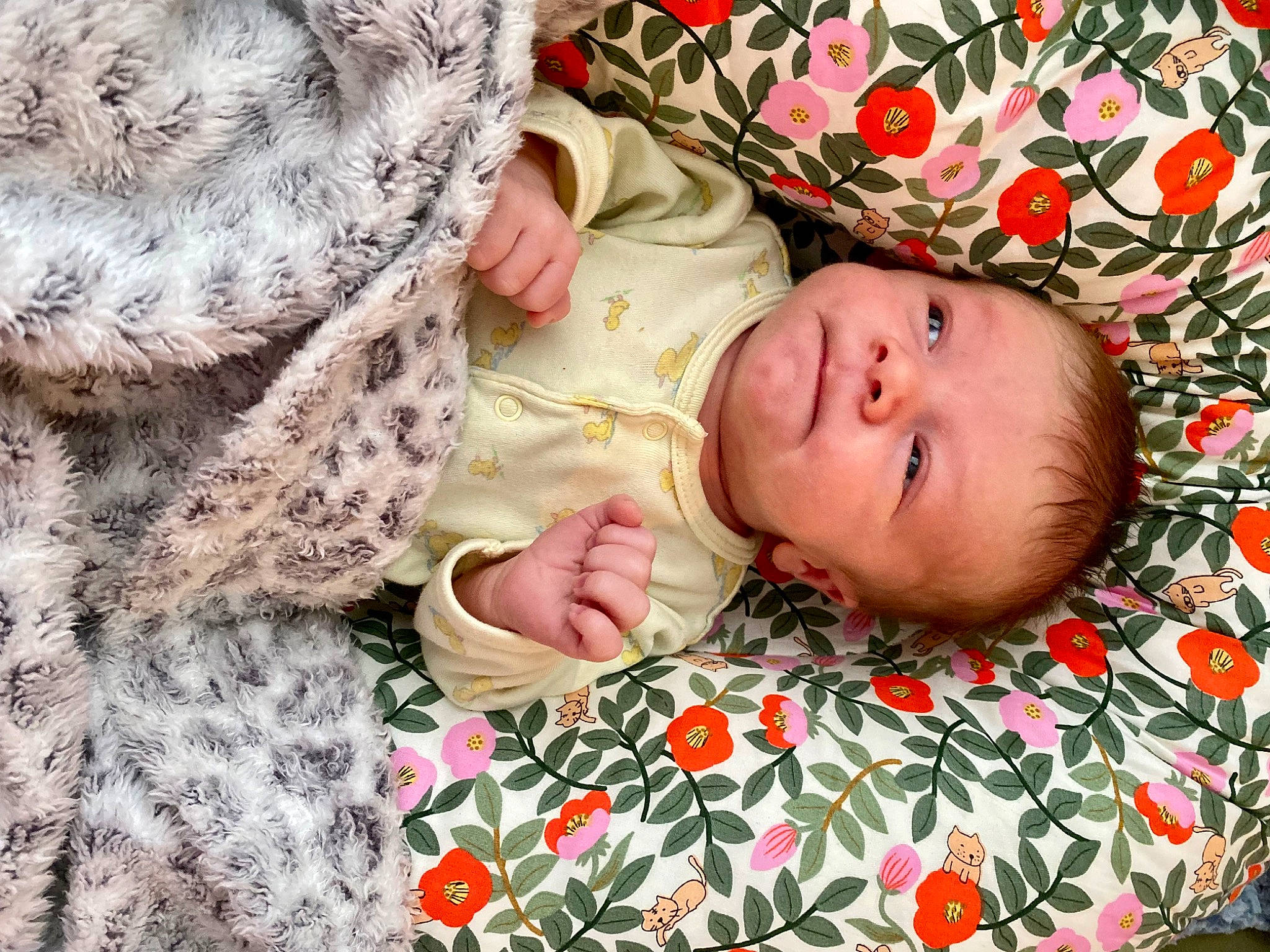 Xavier is registered to the contest to win money with this photo: baby, baby_products, baby_toddler_clothing, bedding, bedtime, cheek, child, comfort, eye, face, grass, head, linens, pattern, person, skin, sleeve, textile, toddler, tree