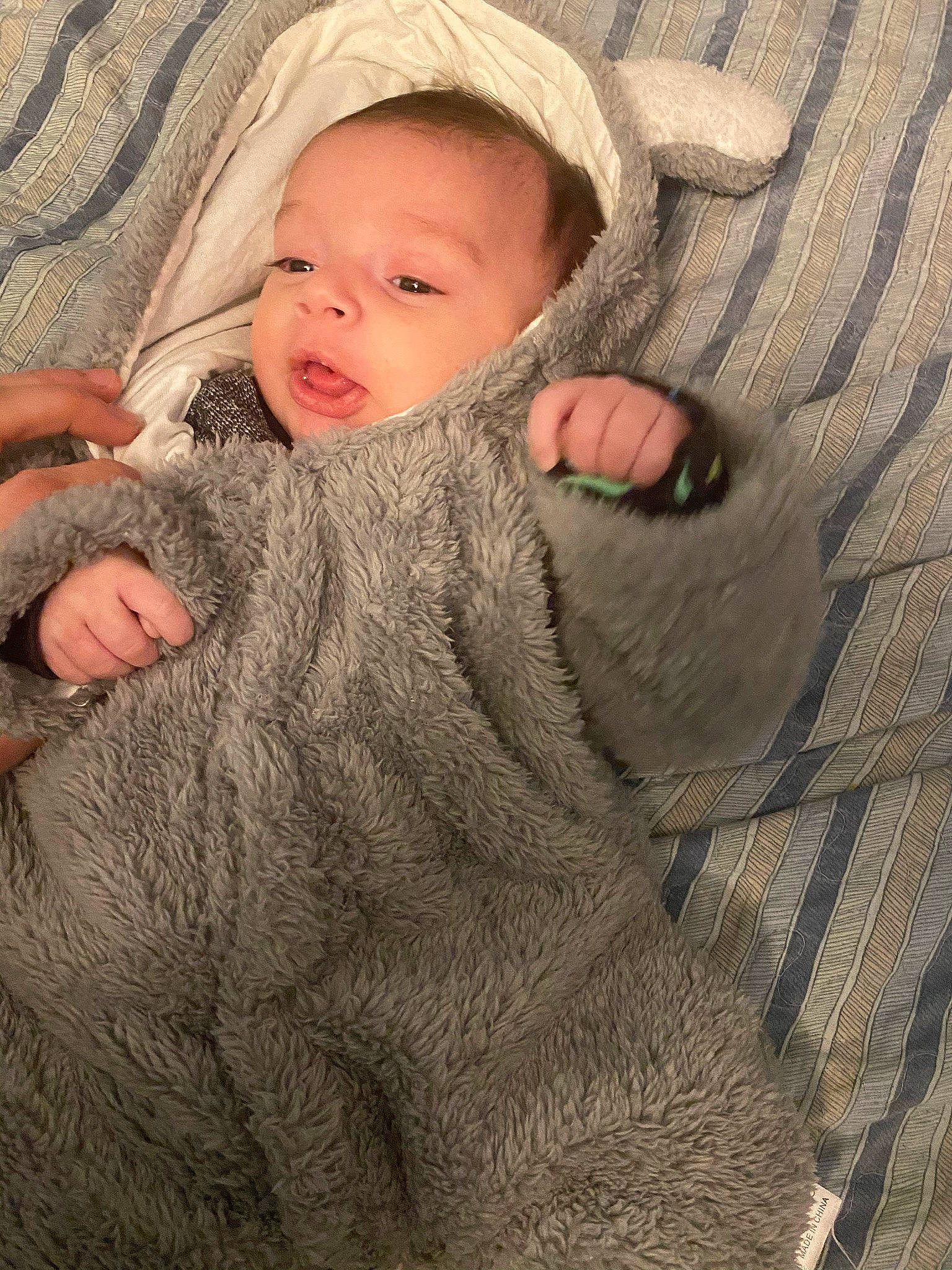 Jack Anthony is registered to the contest to win money with this photo: art, baby, baby_toddler_clothing, beige, child, collar, comfort, face, fur, gesture, grass, hat, linens, pattern, person, skin, sleeve, toddler, wood, wool