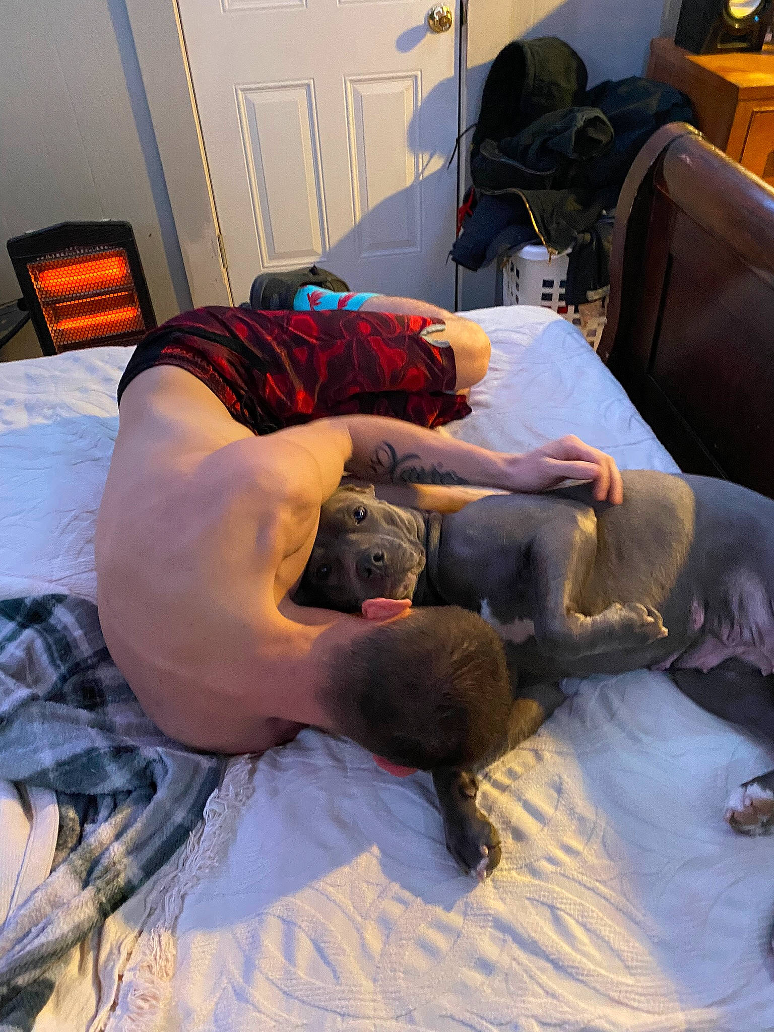 Daysha joined the competition — help win amazing prizes! abdomen, barechested, bed, bed_sheet, bedding, bedroom, comfort, elbow, flooring, fur, human_body, human_leg, joint, knee, leg, linens, mammal, room, sitting, wood