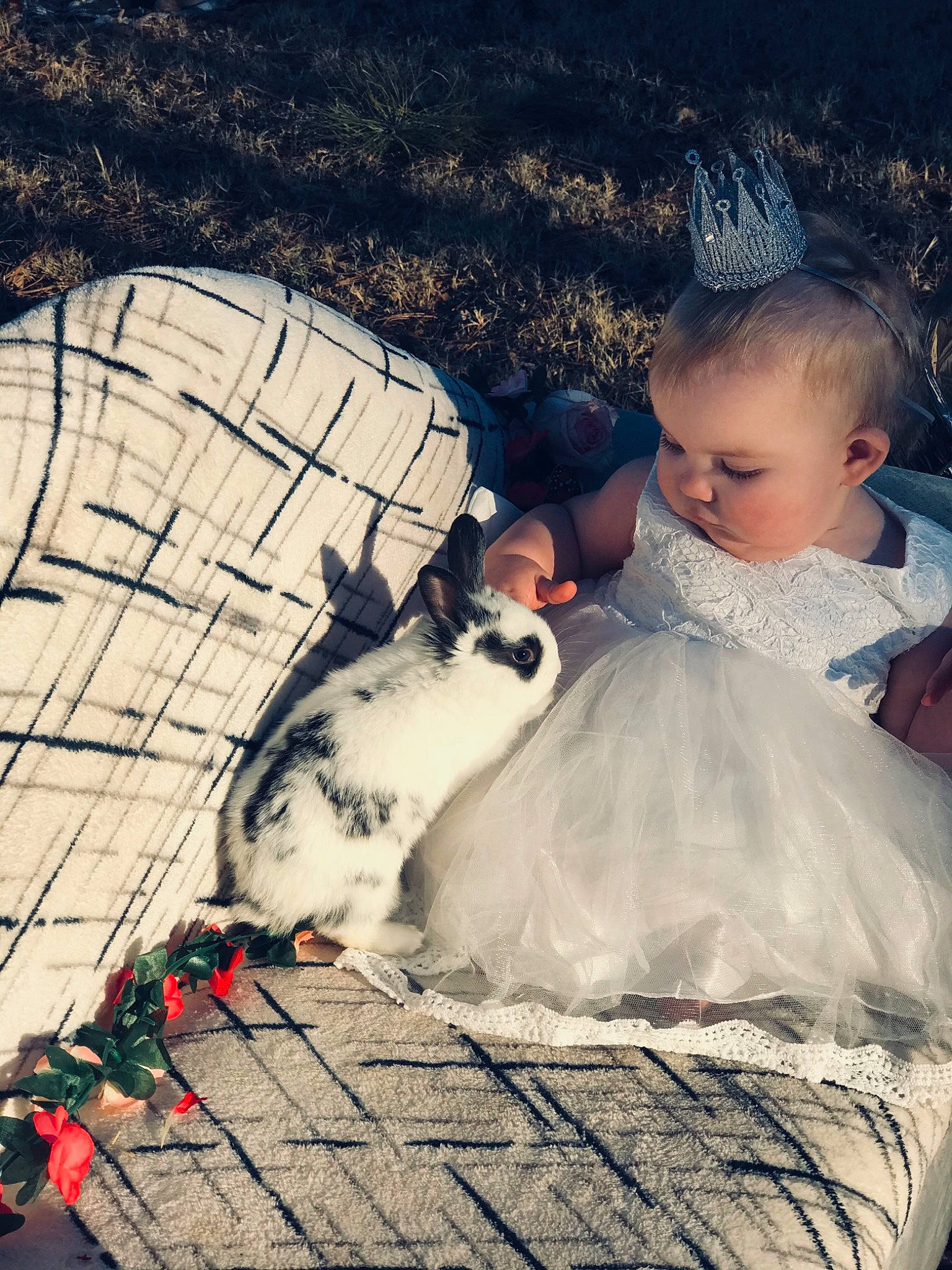 Camilla is registered to the contest to win money with this photo: art, bridal_clothing, carnivore, cat, companion_dog, dress, fawn, felidae, formal_wear, grass, happy, morning, person, plant, sitting, small_to_medium_sized_cats, textile, toddler, tree, wedding_dress