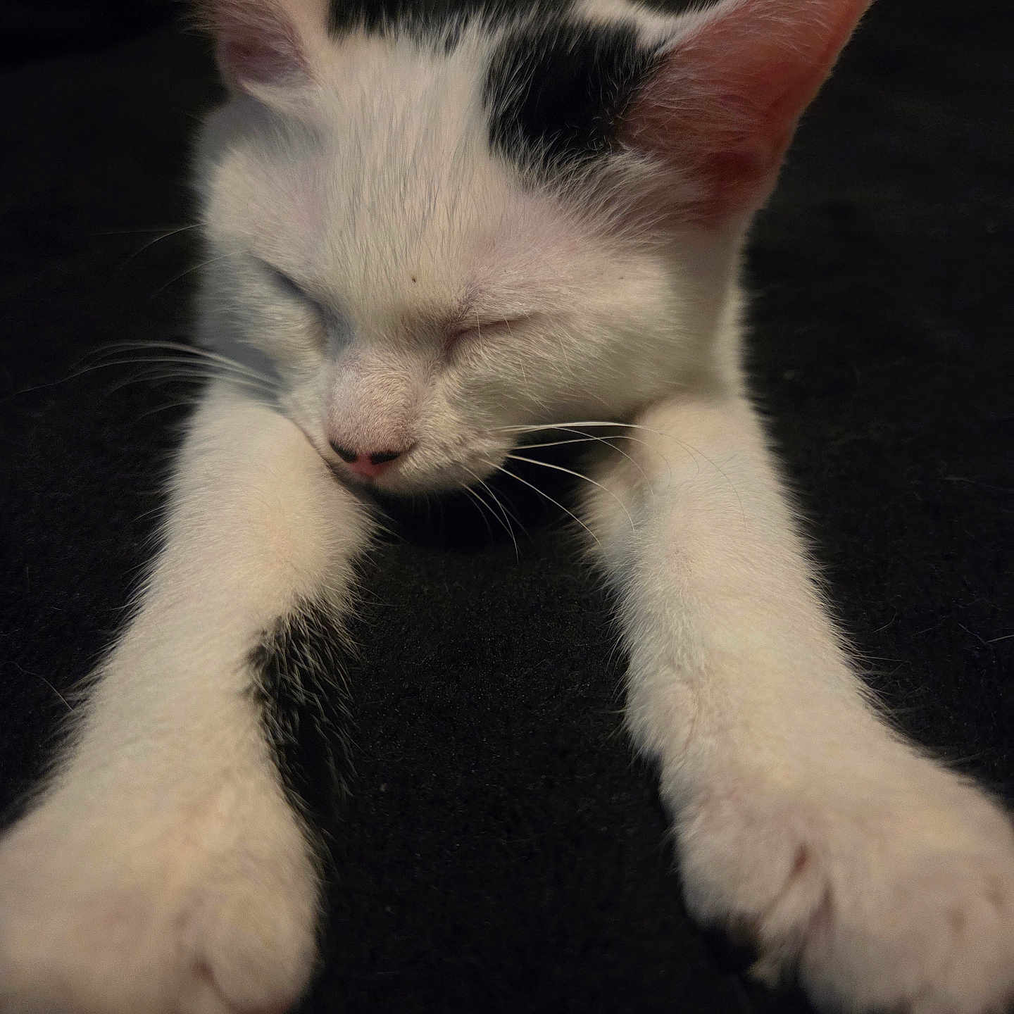 Delilah