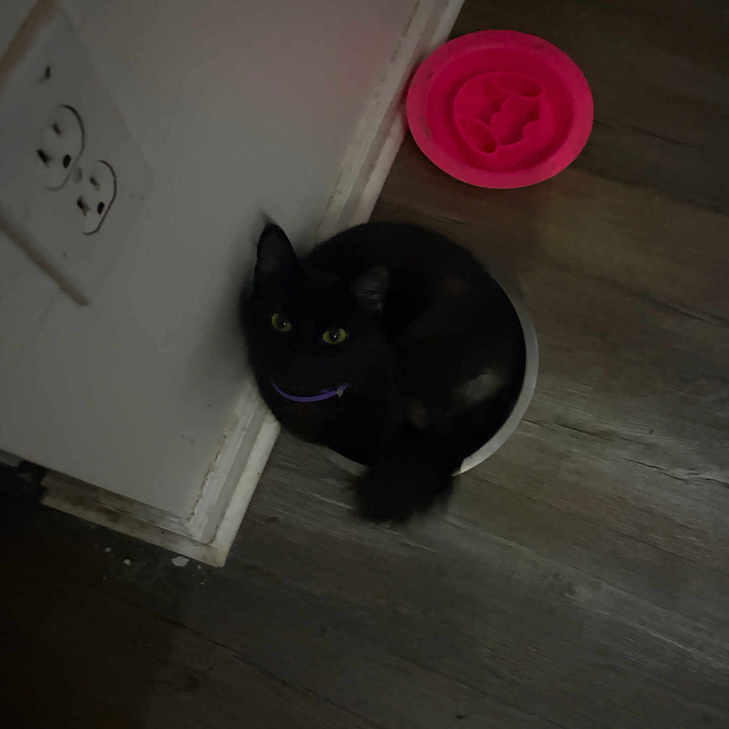Kiki