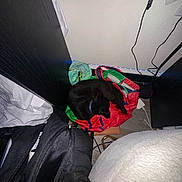 Kiki joined the competition — help win amazing prizes! animal, backpack, bag, bedroom, black_cat, blanket, cables, cat, clothing, cozy, electronics, floor, furniture, home, indoors, led_lights, pet, resting, reusable_bag, sleeping