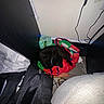 animal, backpack, bag, bedroom, black_cat, blanket, cables, cat, clothing, cozy, electronics, floor, furniture, home, indoors, led_lights, pet, resting, reusable_bag, sleeping