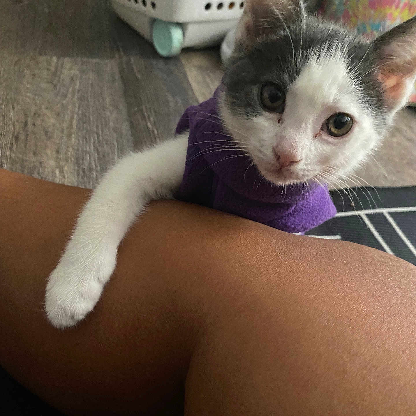 Luna