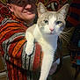 Hector is registered to the contest to win money with this photo: man, cat, pet, indoor, sweater, colorful, tapestry, portrait, smiling, whiskers, hat, chair, furniture, close_up, cozy, textile, arm, holding, human_face, animal_face