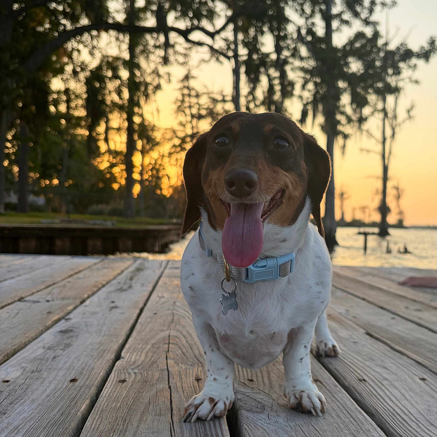 Charlie