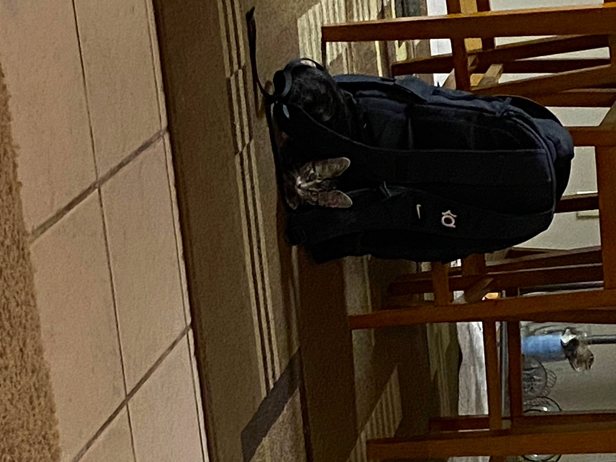 Willa is registered to the contest to win money with this photo: automotive_design, automotive_exterior, bag, baggage, building, denim, hardwood, leather, luggage_and_bags, metal, outdoor_shoe, room, sculpture, vehicle, walking_shoe, wood