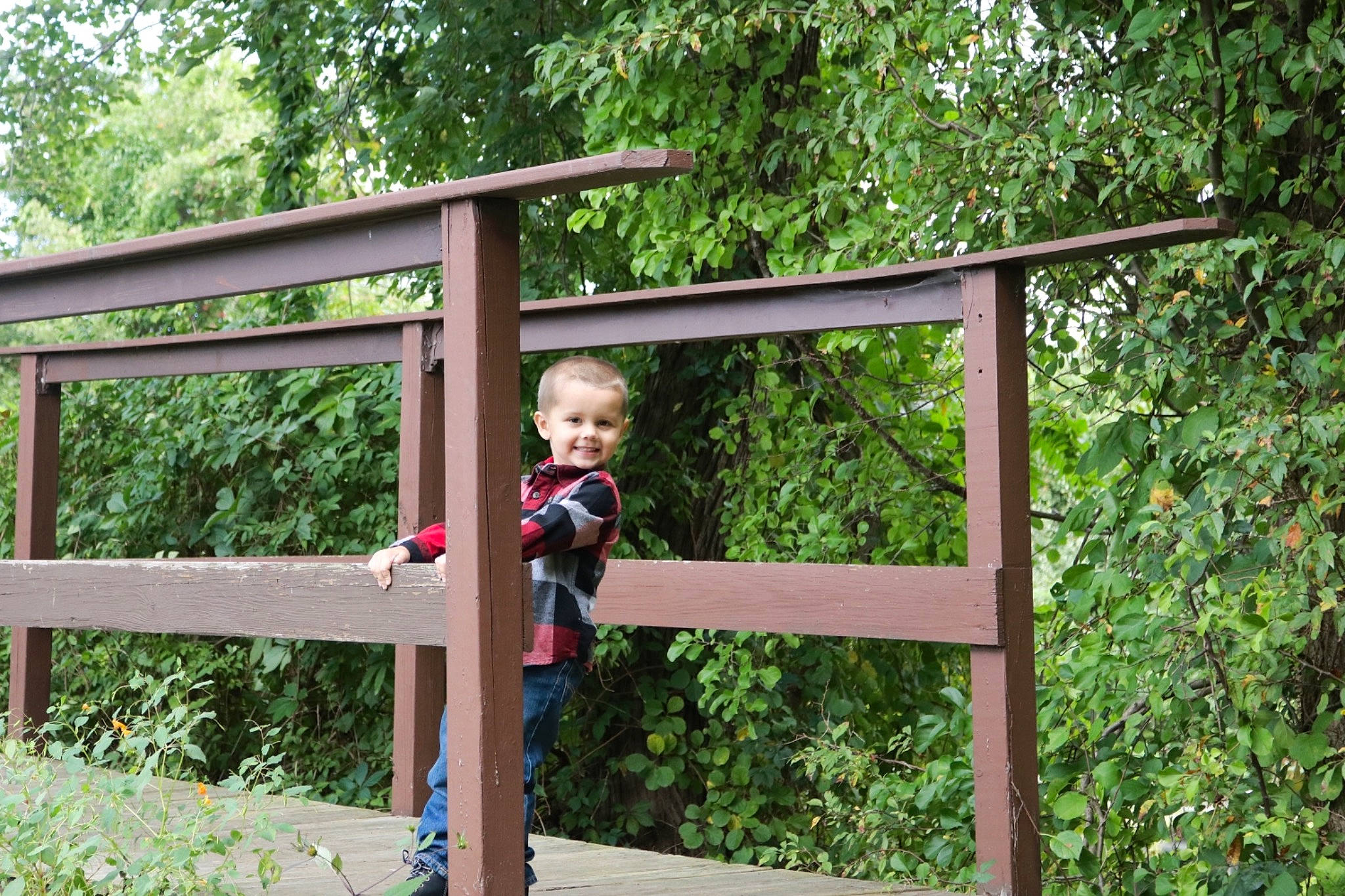 Kazen is registered to the contest to win money with this photo: architecture, backyard, child, forest, garden, house, joy, leisure, nature_reserve, person, plant, public_space, tree, vacation, wood