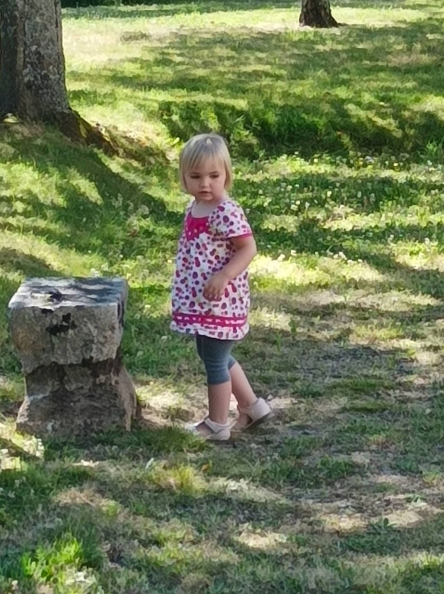 Fanny participe au concours pour gagner de l'argent avec cette photo : baby_toddler_clothing, botany, fun, grass, grass_family, grassland, groundcover, landscape, leaf, leisure, meadow, natural_environment, people_in_nature, person, plant, standing, summer, sunlight, tree, trunk