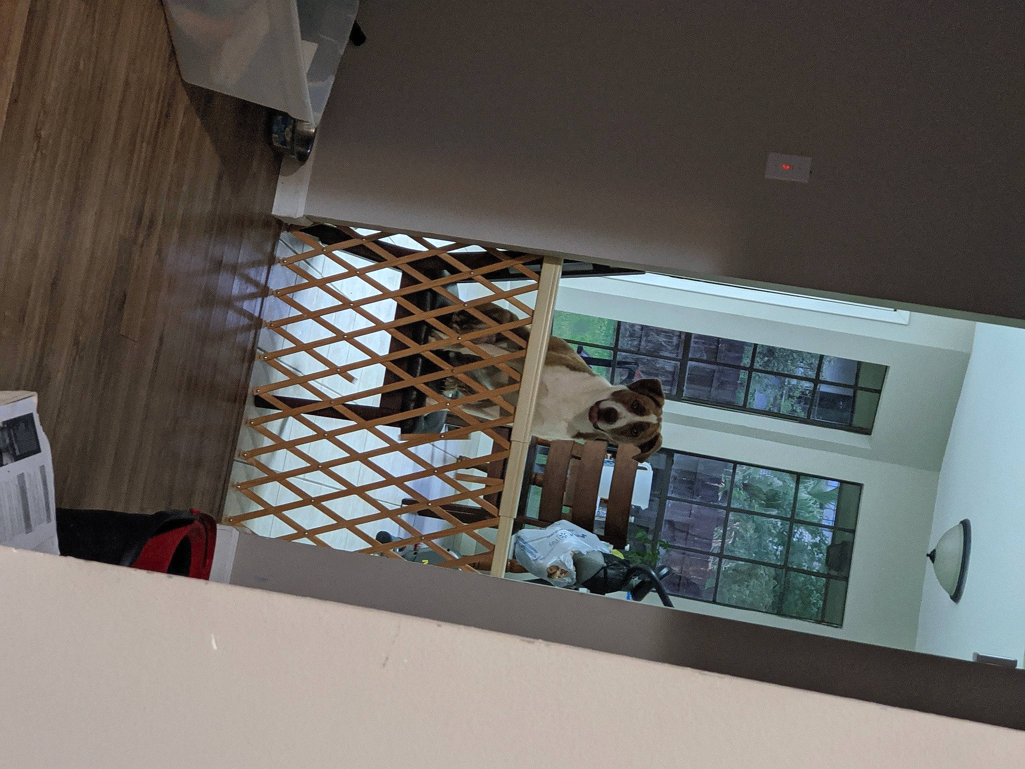 S'Mores is registered to the contest to win money with this photo: architecture, design, house, interior_design, material_property, room, window