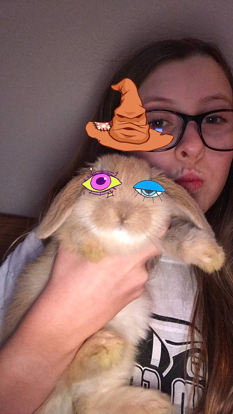 Cami is registered to the contest to win money with this photo: carnivore, cat, eyewear, fawn, felidae, glasses, photography, small_to_medium_sized_cats, whiskers