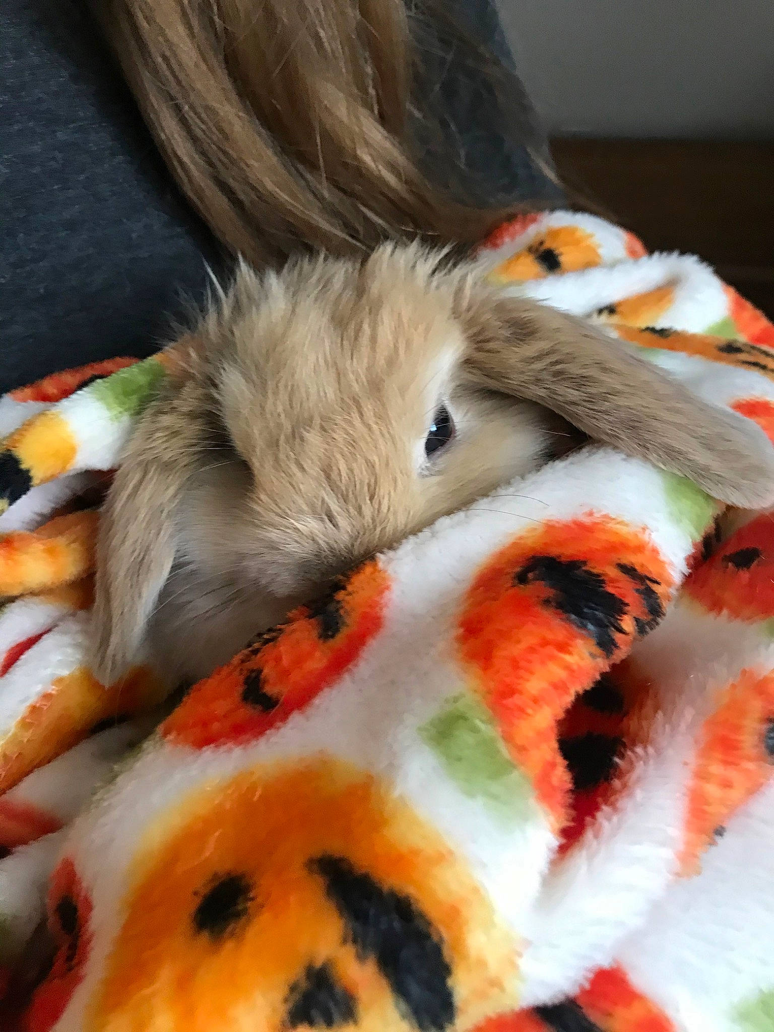 Cami joined the competition — help win amazing prizes! fur