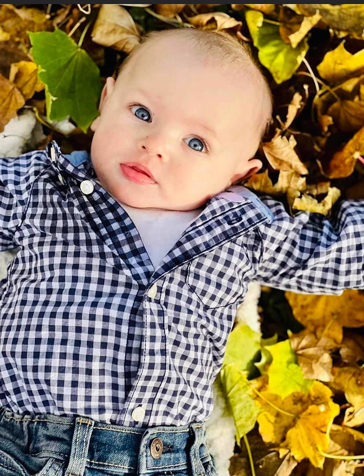 Kohen is registered to the contest to win money with this photo: baby, baby_toddler_clothing, beauty, cheek, child, collar, dress_shirt, grass, happy, iris, lip, pattern, people_in_nature, person, photograph, plaid, plant, skin, sleeve, tartan